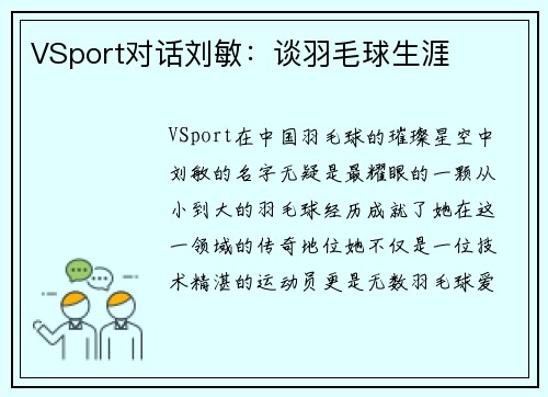 VSport对话刘敏：谈羽毛球生涯