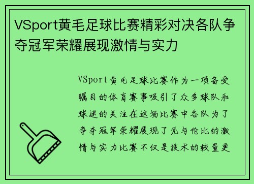 VSport黄毛足球比赛精彩对决各队争夺冠军荣耀展现激情与实力