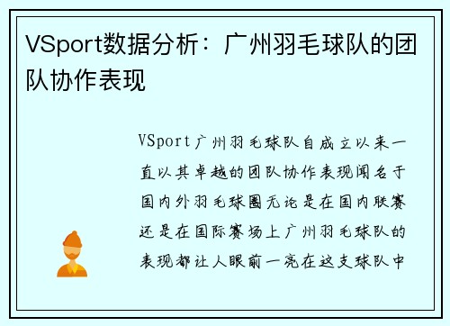 VSport数据分析：广州羽毛球队的团队协作表现