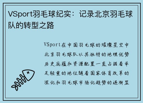 VSport羽毛球纪实：记录北京羽毛球队的转型之路