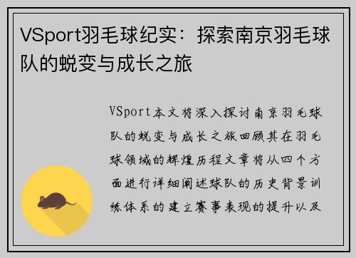 VSport羽毛球纪实：探索南京羽毛球队的蜕变与成长之旅