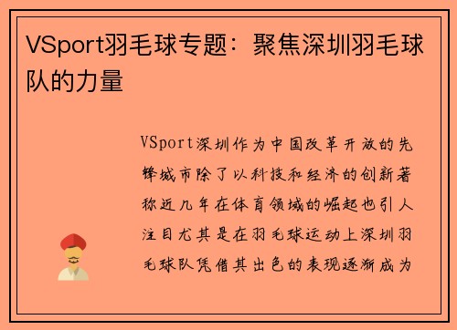 VSport羽毛球专题：聚焦深圳羽毛球队的力量